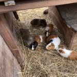 phoca_thumb_m_vlet km 28 Fotogalerie